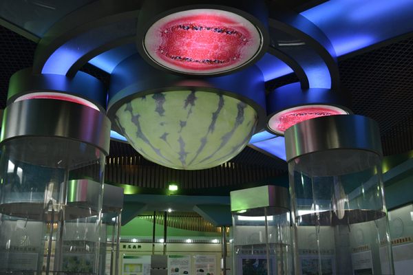 China Watermelon Museum